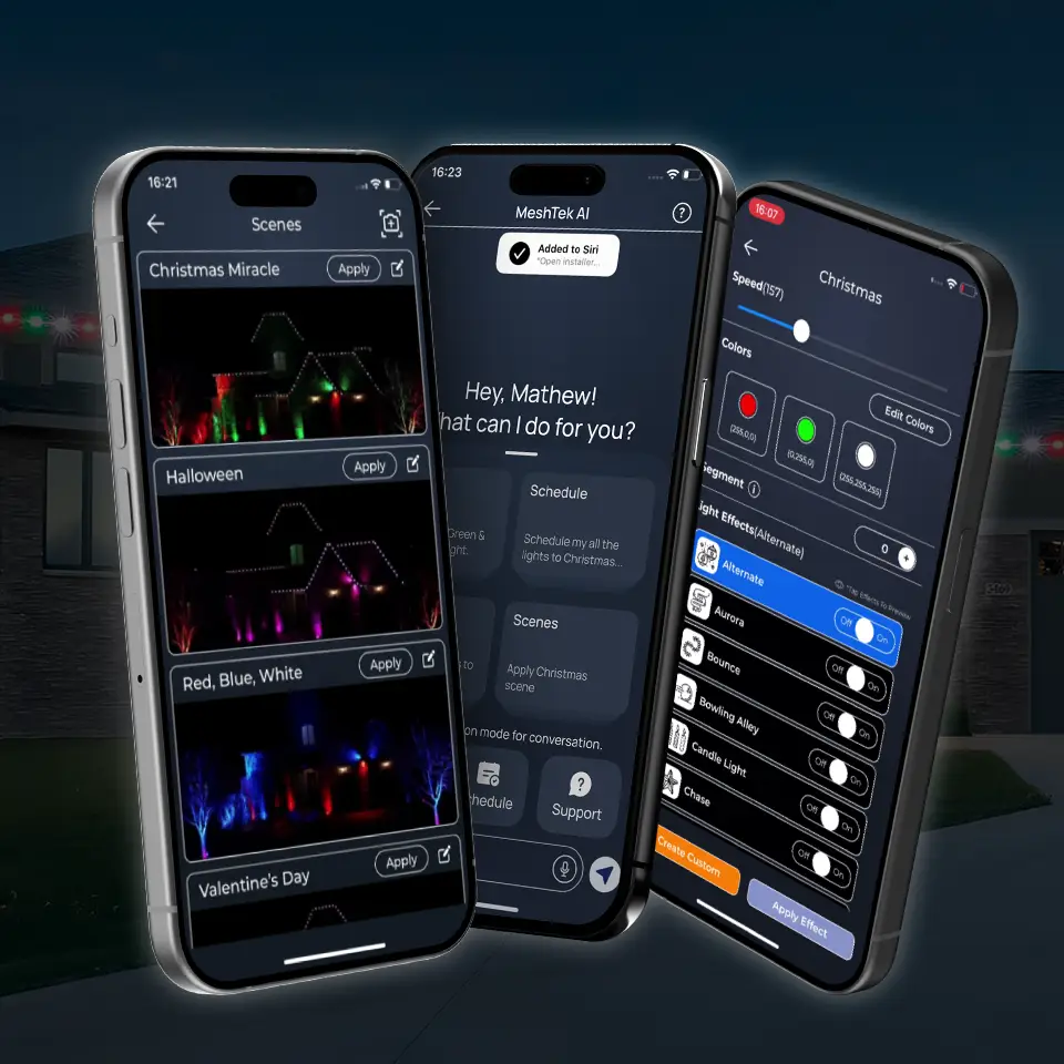 Permanent Christmas Lights