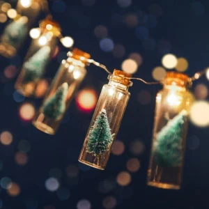 outdoor holiday lights