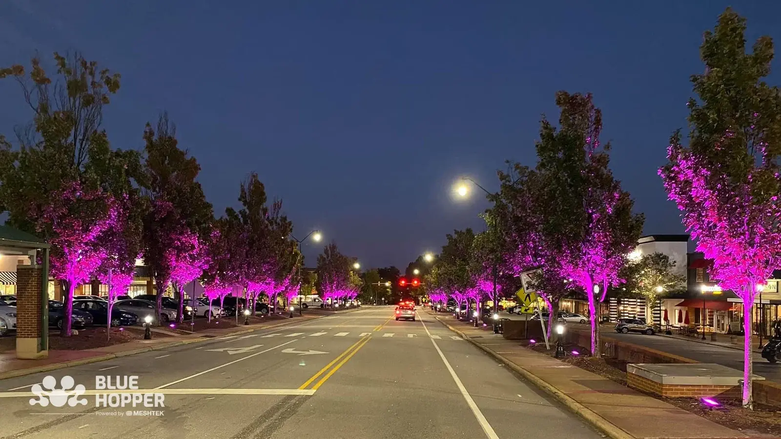 best landscape lighting