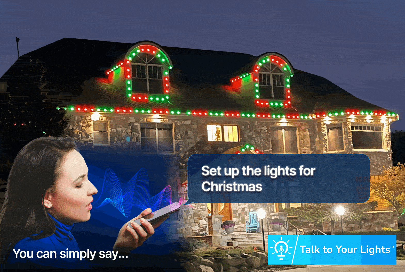 Talk To Your Lights Voice Control