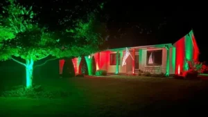 BlueHopper permanent Christmas lighting illuminating a residential roofline