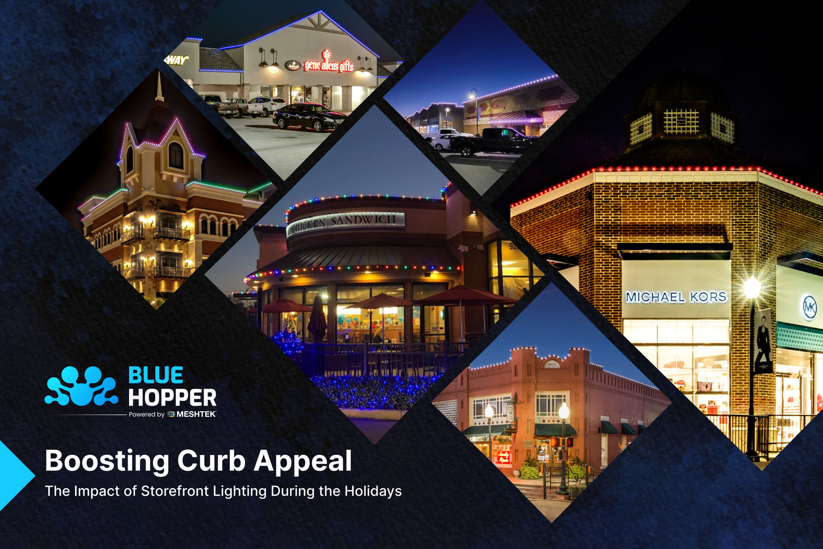 image_2024_11_06T11_08_24_906Z | BlueHopper commercial outdoor lighting