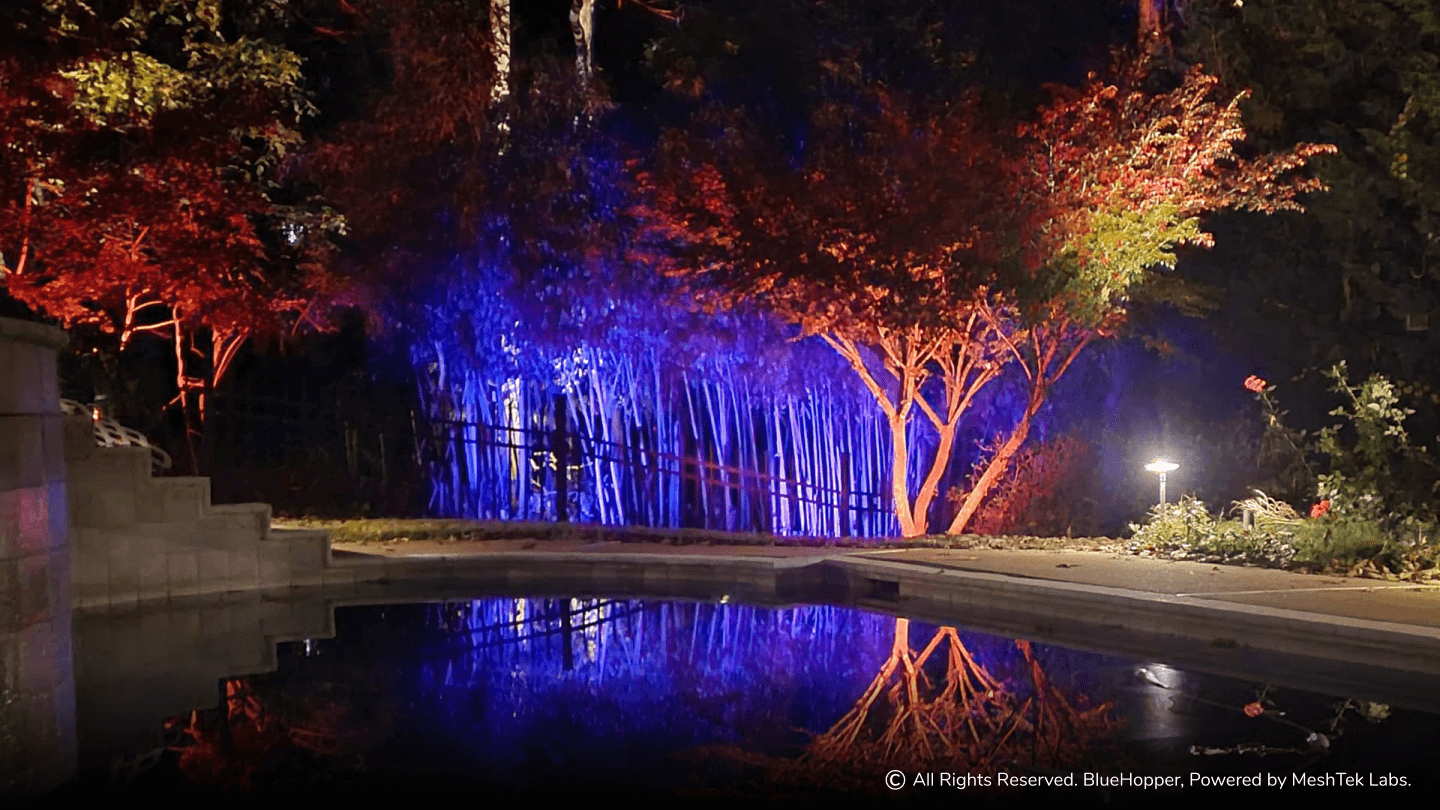 Elegant Residential Outdoor Color Changing Landscape Lighting