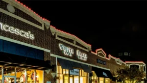How-Can-Pet-Daycare-Centers-Use-Permanent-Outdoor-Lighting
