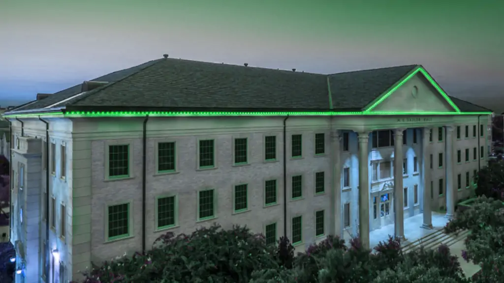 Lighting Up St. Patrick’s Day: Celebrate with BlueHopper’s Permanent Outdoor Lighting Solution